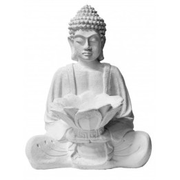 copy of 